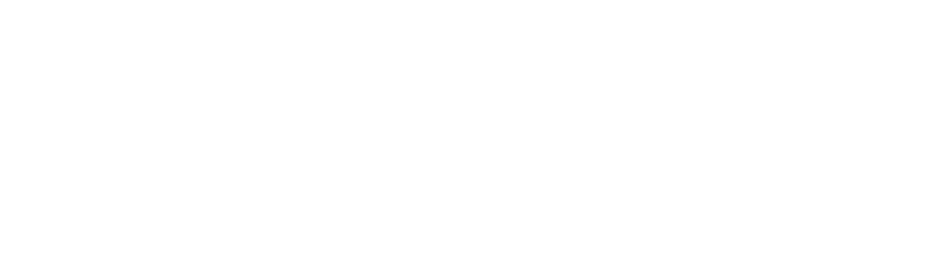 EU logo