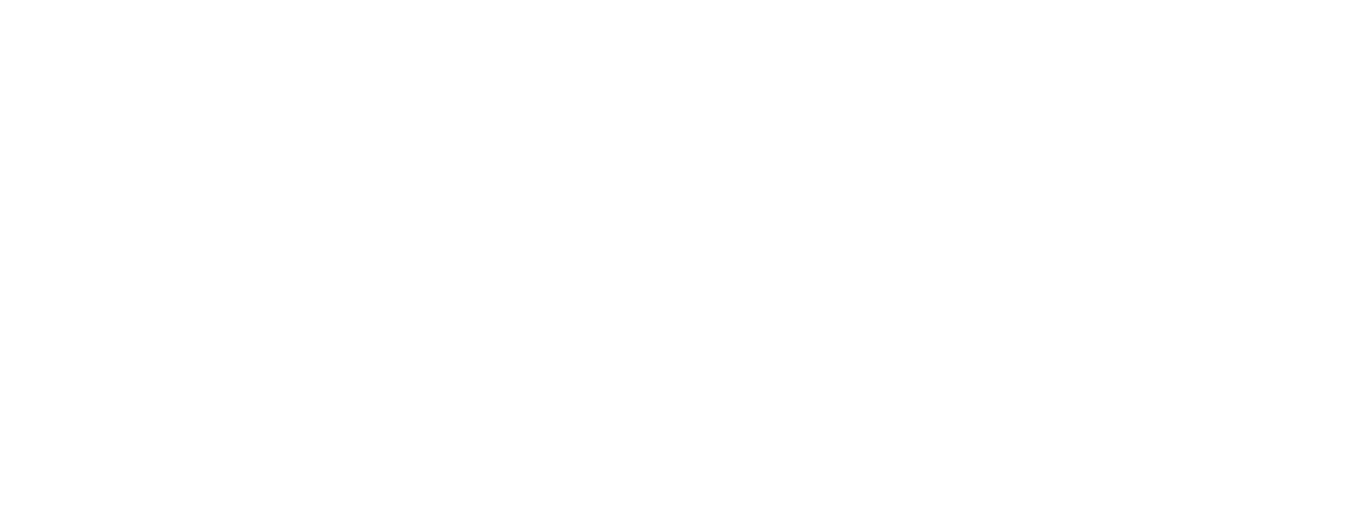 NPO logo